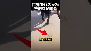 犬の足跡で動物病院を飾ろうとしたらまさかの展開🐶