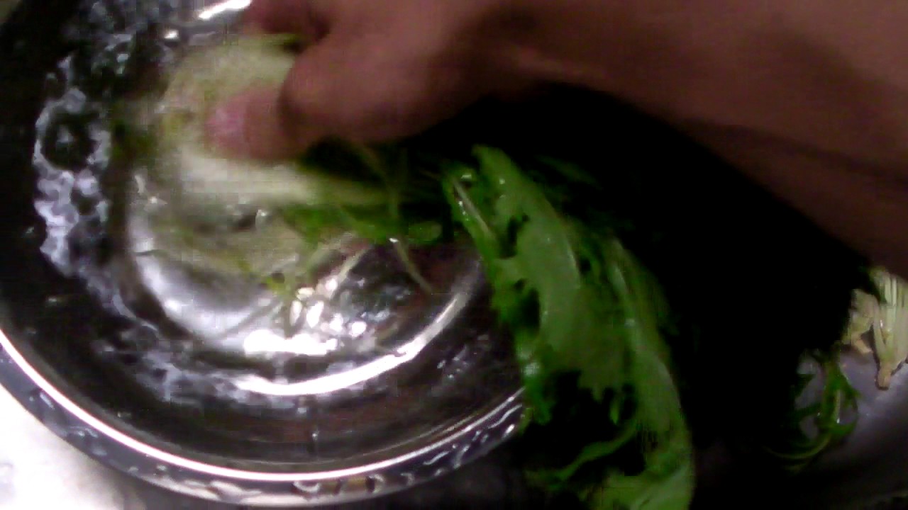 水菜の正しい洗い方を知らないと虫が付いてるかもしれません みからもち 水菜の正しい洗い方を知らないと虫が付いてるかもしれません みからもち