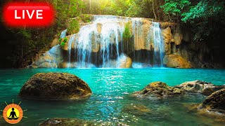 🔴 Relaxing Music for Stress Relief 24/7, Tranquil Bird Sounds, Spa Music, Relaxing Nature Music
