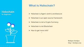 What Is Holochain