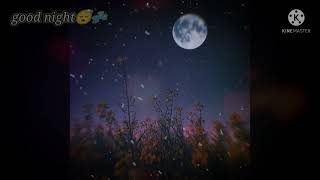 Atragi Film Song Status Whatsapp Status Heart Thoushing Music