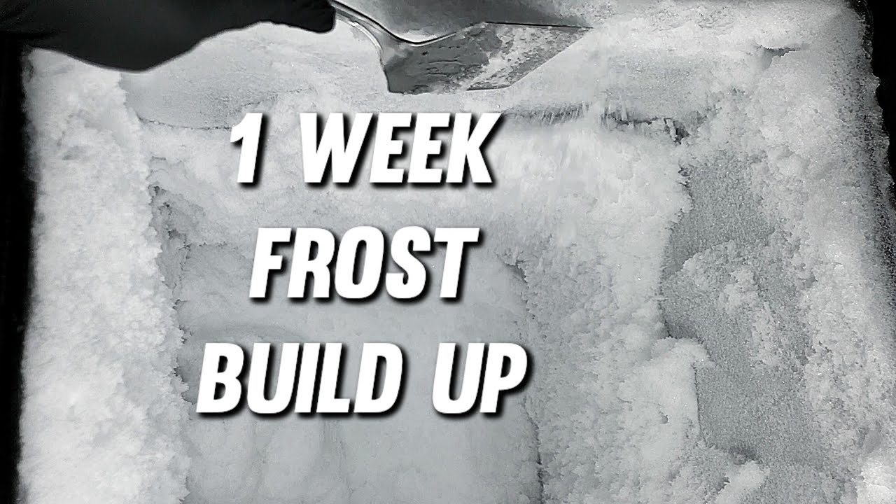 Scraping Deep Freezer Frost | Humidifier Frost Build Up