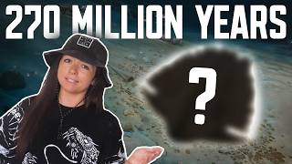 The Most Successful Lineage to Go Extinct | Lindsay Nikole