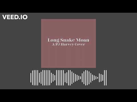 Long Snake Moan (PJ Harvey Cover) (Audio)