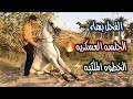 # فلوق (31) جلسة العسكريه والخطوه الملكيه| الفيتامين مضر بدون تشغيل🔥