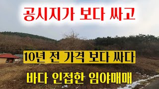 [1472-2] Sale of forest land adjacent to the sea, significantly cheaper than the purchase price 1...