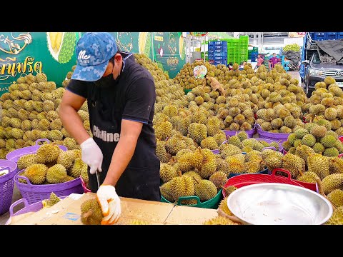 çılgın hız! inanılmaz durian meyve kesme becerileri - tayland sokak yemeği