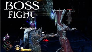 Dungeons & Dragons: Dark Alliance -  Arim The Bonescribe Boss Fight