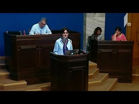 სემეკის თავმჯდომარემ წლიური ანგარიში წარადგინა