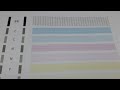 Canon G2010 G3010 Color Problem วิธีล้างหัวพิมพ์ Cleaning Print Head สีขาด เป็นเส้น