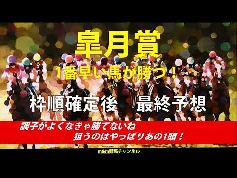 皐月賞2024 枠順確定後 3連単・3連複予想