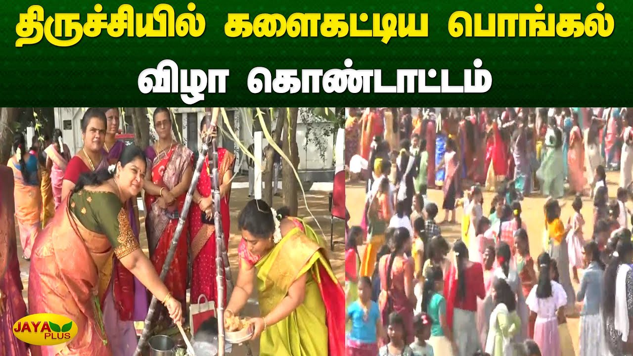 திருச்சியில் களைகட்டிய பொங்கல் விழா கொண்டாட்டம் | Trichy | Pongal | Jaya Plus