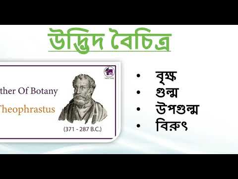 ভিডিও: 5 টি উদ্ভিদ গ্রুপ কি কি?