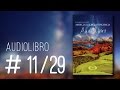 Chakras (Audiolibro) - Lucas Cervetti - 11/29