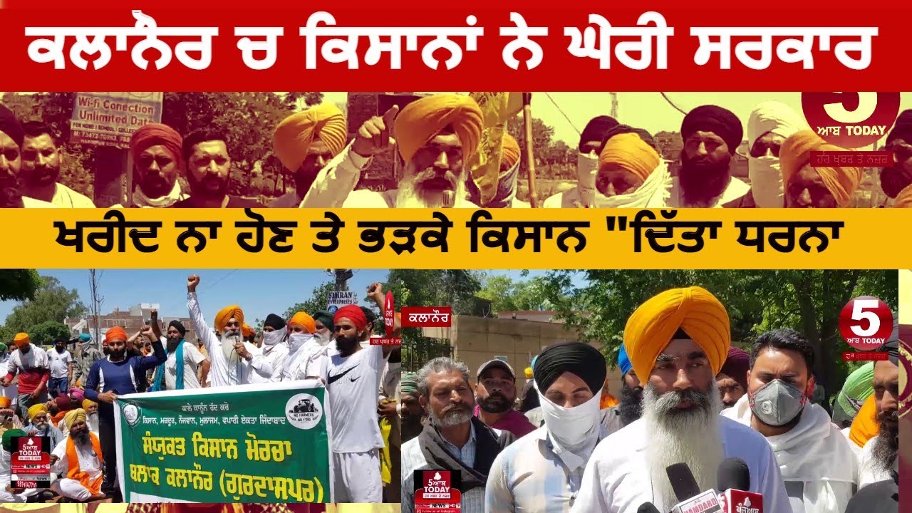 kalanaur farmers protest and dharna| kalanaur news farmers protest against goverment| whaet crop |