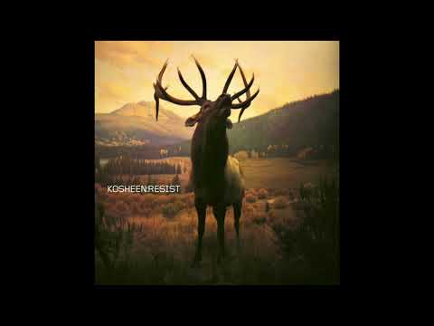 Tonton Kosheen - Empty Skies (2021 Remaster) di YouTube Tonton Kosheen - Empty Skies (2021 Remaster) di YouTube