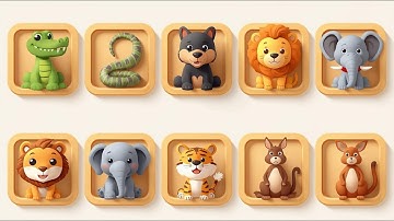 From A to Z in the Wild – Learning the Alphabet with Amazing Animals!