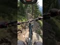 You Are Mountain Biking