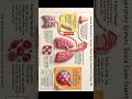 Respiratory System Revision Notes!#RespiratorySystem #LifeProcesses #Class10Science #BoardExamPrep