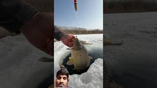 #carpfishing #fishing #carp #cooking #survival #food #outdoors #ट्रैवल #funny  #shot #video