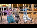 KorbaniTo ক রব ন ত Despacito Parody Best Korbani Eid Song 2017 KorbaniTo ক রব ন ত Despacito Parody Best Korbani Eid Song 2017