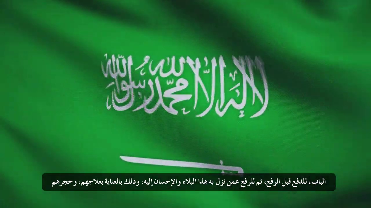جزى الله ولاة الأمور وكل من أطاعهم خيرًا - الشيخ : محمد بن هادي المدخلي