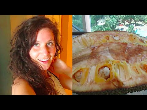 How I Eat Jackfruit + My Veggie Meal + Dancing   40BelowFruity