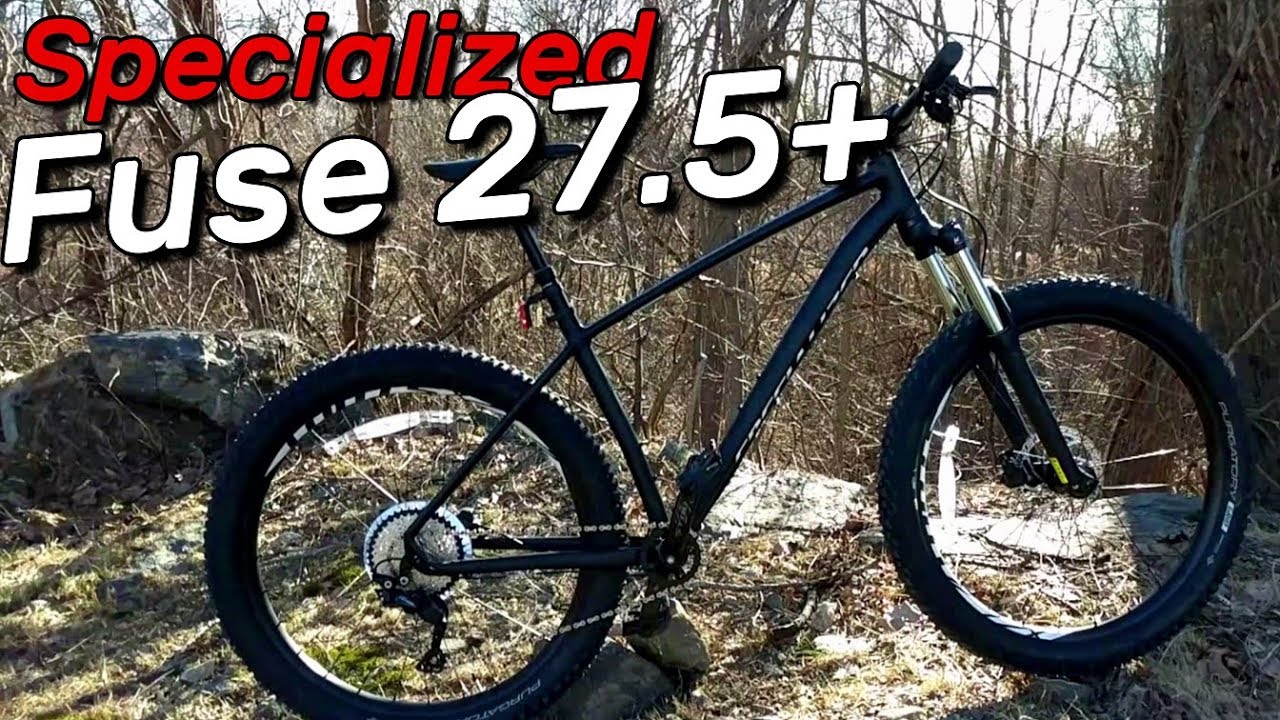 specialized fuse for sale