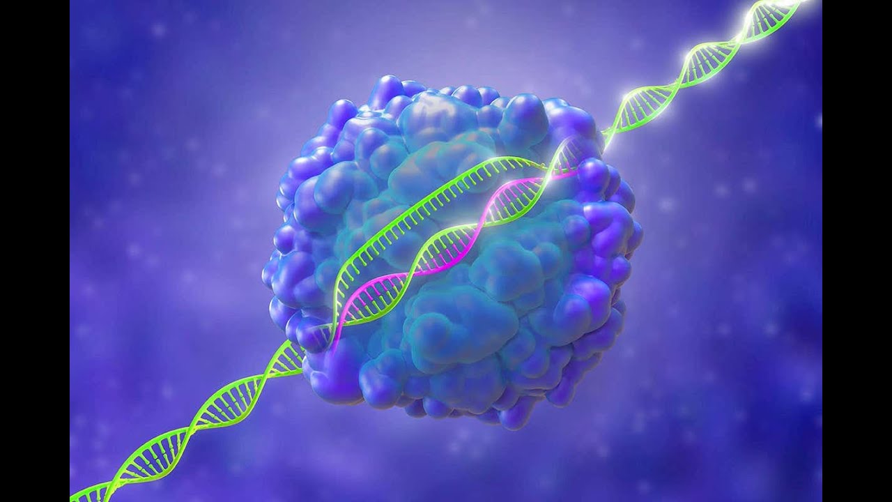 The CRISPR Generation, Interview with Dr. Musunuru