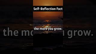 "Reality Check: Life Lessons, Mindset Shifts & Personal Growth for Success"