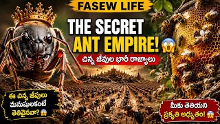 ఈ చిన్న జీవులు లేకపోతే మనుషులు బతకలేరు! 😱🌍Ant Wars & Bee Cities! 🐝 Nature's Greatest Secret
