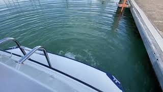 Orkney Pilothouse 24  - Boatshed - Boat Ref#313777