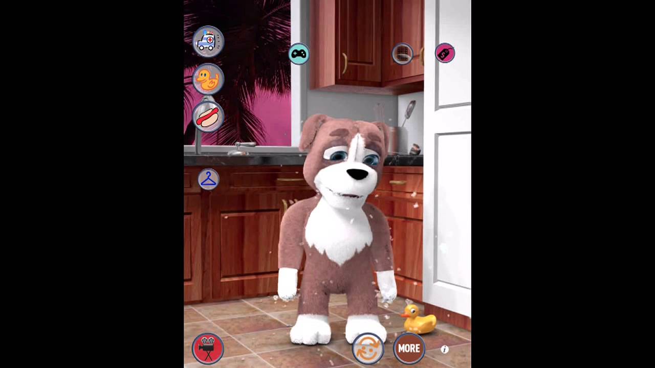 Talking Dog Duke 2   Fun Baby Doggie Pup Poodle Friend IOS Gameplay