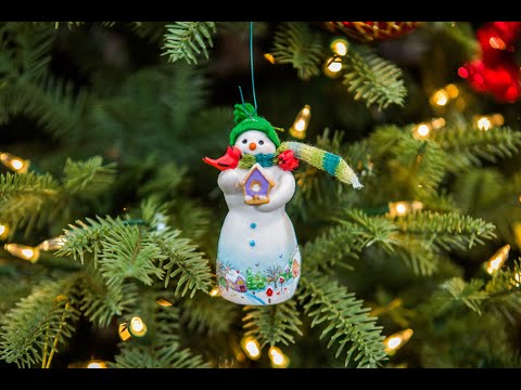 Hallmark Keepsake Ornament