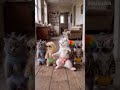 ai editing