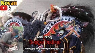kesenian reog ( Bongso budoyo ) 29 November 2020 karanggayam,gentungan,mojogedang
