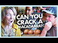 Why macadamias are the toughest nut to crack  food unwrapped