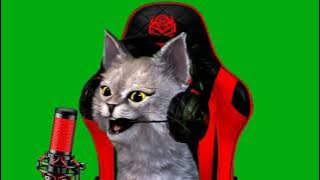 FaceRig KUCING ABU ABU   kursi Gaming headset Greenscreen FREE FIRE1080P HD