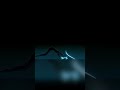 Shadow of the Muse | Animated Short Teaser #animation #animating #animationart #experimental