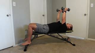 Dual Dumbbell Pullover Form #shorts