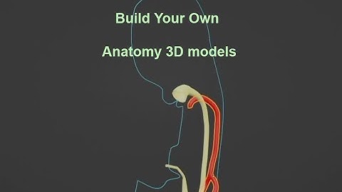 3D Anatomy for Anatomists Part1: Blender 3D techniques