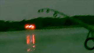 Medevac During The Topwater Bite