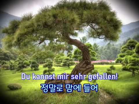 X-mas 캐롤 O Tannenbaum - Vienna Boy's Choir (독일어, 한글자막 German & Korean captions)