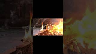 1 Vs 10000 Matchis Rocket