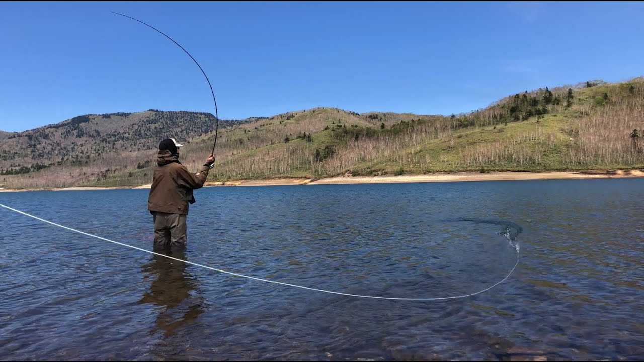 マックスキャッチスイッチロッド 11f #6 V-switch Amazon | M MAXIMUMCATCH Maxcatch V-Switch 両手スイッチロッド