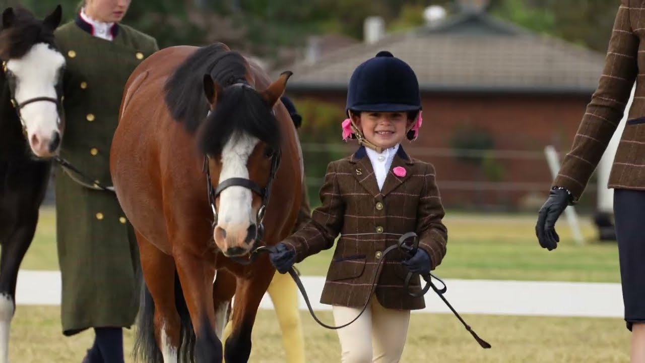 Welsh Pony and Cob Society of Australia