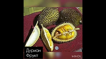 Фрукты, овощи, ягоды на букву Д