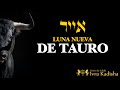 ((????)) EN VIVO / Luna Nueva de Tauro 2023 - Rosh Jodesh Iyyar.