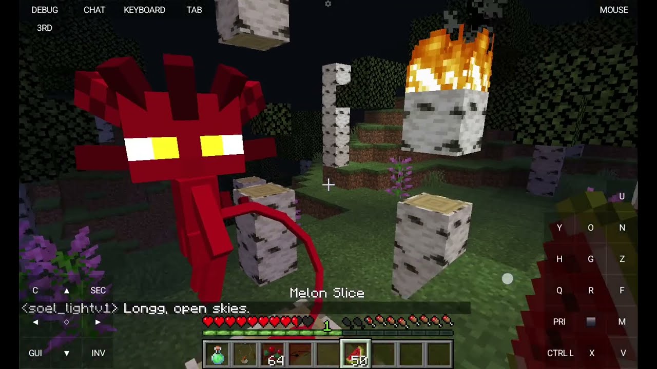 Miraculous ladybug and catnoir minecraft part 2,3 and 4