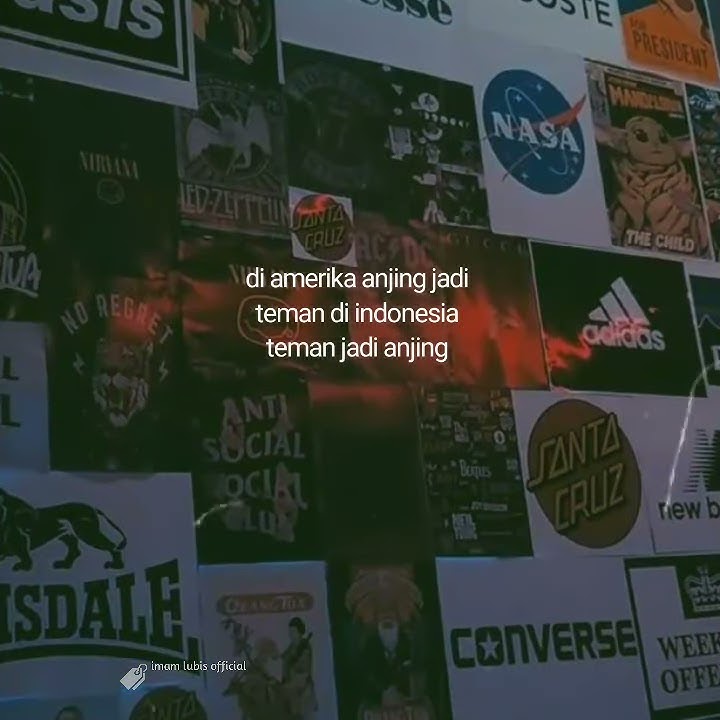 Status Wa terbaru|| Di amerika anjing jadi teman di indonesia teman jadi anjing||link media fire